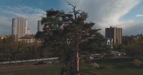 Zona Residencial Ciudad Atardecer Aérea Paisaje Urbano Parques Plazas Desde — Vídeo de stock