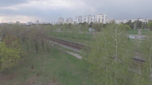 Train Métro Aérien Les Voitures Métro Arrivent Sur Quai Métro — Video