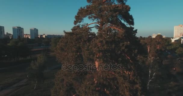 Paisaje Urbano Ciudad Vieja Aéreo Paisaje Urbano Kiev Desde Arriba — Vídeo de stock