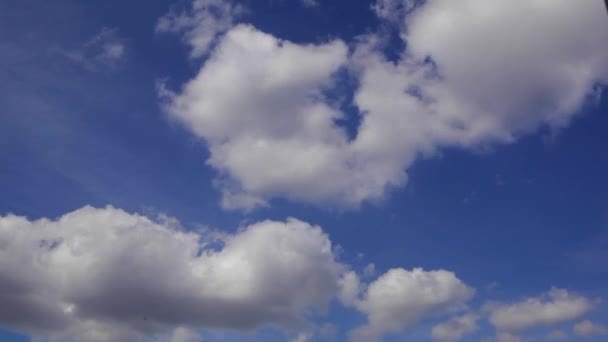 青い空に曇り空の時間経過ショット 白い雲は 青い空の上を実行しています 青い空に白いふわふわの雲 自然画像としてふわふわ白い雲と青い夏時間夏 撮影時間の経過 — ストック動画