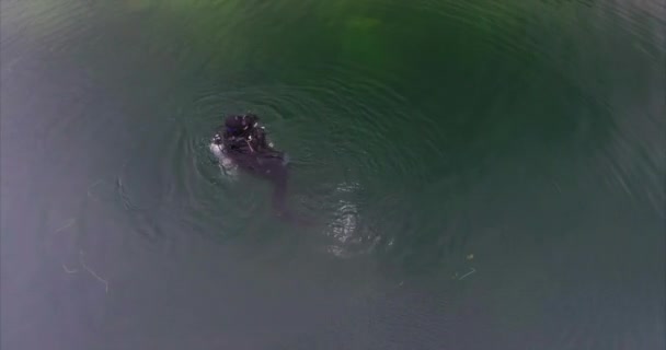 Antény Potápěči Zadejte Obrovské Podvodní Jeskyně Úpatí Žulového Lomu Potápěči — Stock video
