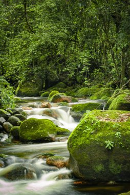 Dağlarda küçük dere.
