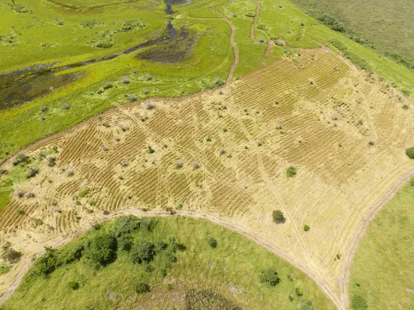 Vue aérienne du champ préparé pour la culture dans le Midwest reg — Photo