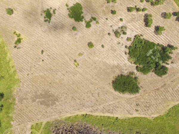 Vista aérea do campo preparado para cultivo no centro-oeste reg — Fotografia de Stock