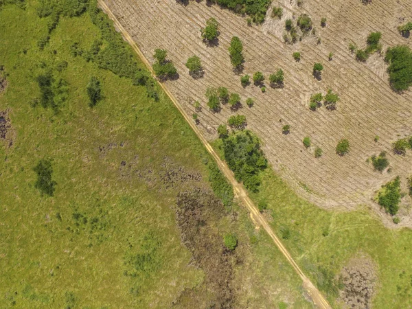 Vista aérea do campo preparado para cultivo no centro-oeste reg — Fotografia de Stock