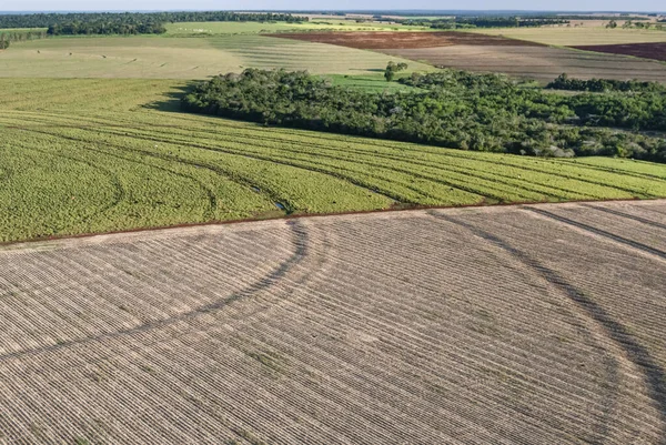 Luftaufnahme Eines Landwirtschaftlichen Mosaiks Mit Feld Für Die Getreideproduktion Und lizenzfreie Stockfotos