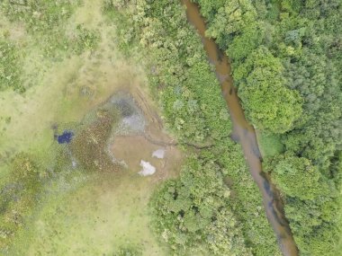 Güney Brezilya 'da yeşil ağaçlı ve dereli tropikal ormanın en üst manzarası.