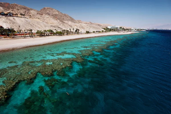 Mer Rouge Avec Coraux Eilat — Photo