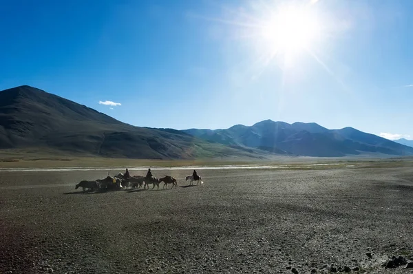 Nómadas tibetanos que viajan con caballos y yaks — Foto de Stock