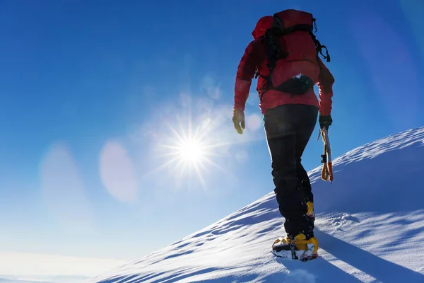 Альпинист на вершине снежной вершины Лицензионные Стоковые Фото