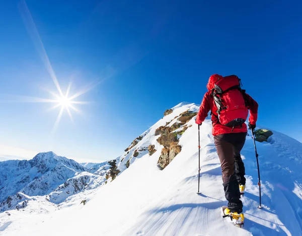 Deportes extremos de invierno: escalador en la cima de un pico nevado en los Alpes. Conceptos: determinación, éxito, valor . —  Fotos de Stock