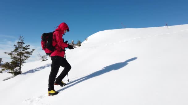 Man Walking Snow Mountain Clear Sky Winter Season Red Jacket — Stock Video