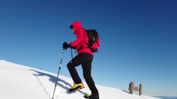 Mann Der Schnee Gebirge Geht Klarer Himmel Winterzeit Rote Jacke — Stockvideo