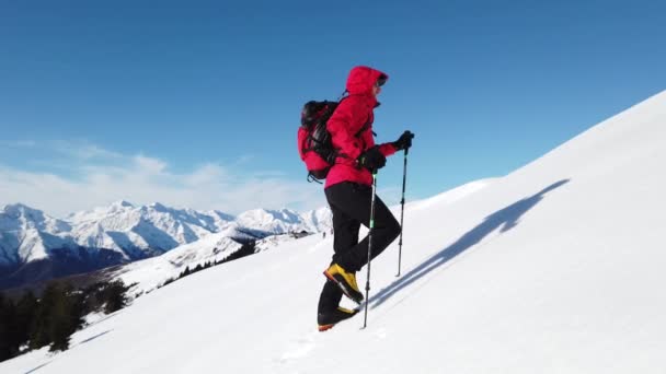 Man Walking Snow Mountain Clear Sky Winter Season Red Jacket — Stock Video