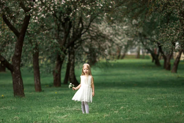 Menina está andando em um jardim de maçã — Fotografia de Stock