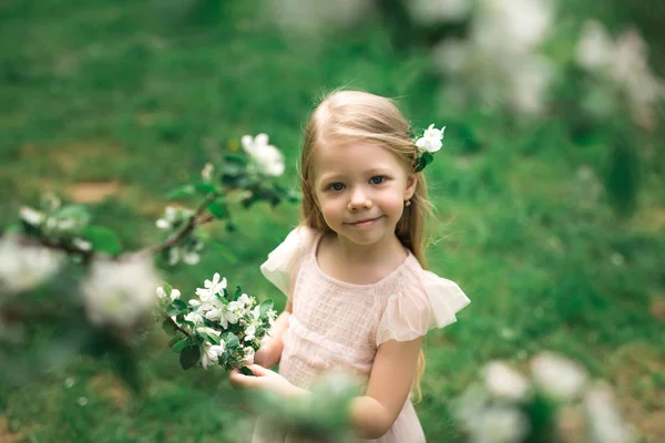 La bambina cammina in un giardino di mele — Foto Stock