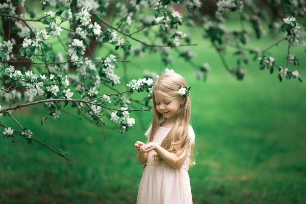 Little girl is walking in an apple garden — Stock Photo, Image