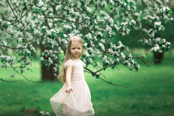 Menina está andando em um jardim de maçã — Fotografia de Stock