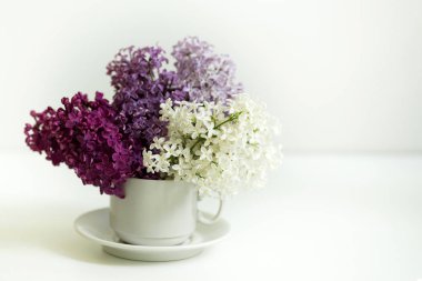 Beyaz arka plan üzerinde farklı Eflatun çiçekli Kupası