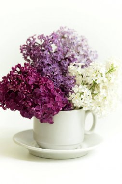 Beyaz arka plan üzerinde leylak fincanla