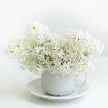 Beyaz arka plan üzerinde leylak fincanla