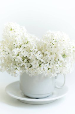 Beyaz arka plan üzerinde leylak fincanla