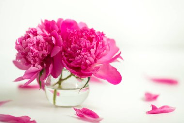 Beyaz bir arka plan üzerinde pembe peonies saydam vazo