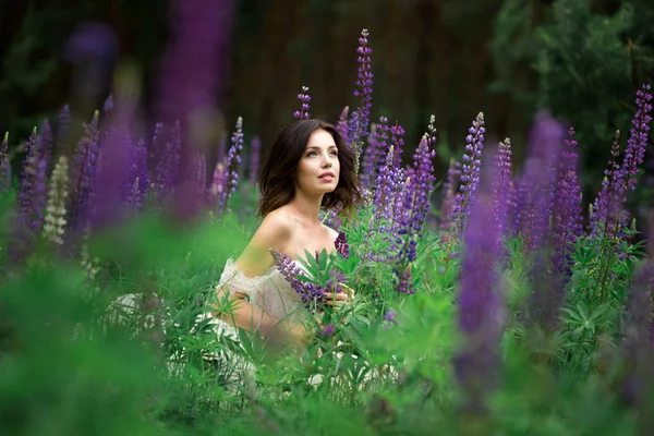 Mooi meisje in lupine veld — Stockfoto