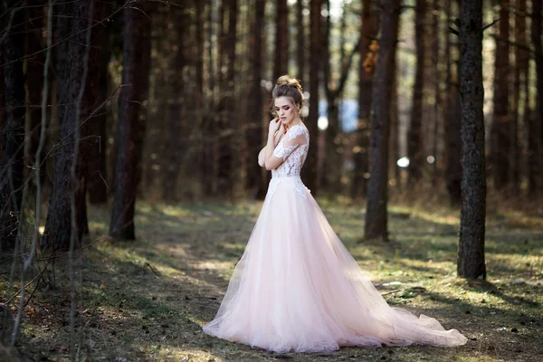 Bela Noiva Vestido Branco Noiva Está Andando Floresta — Fotografia de Stock