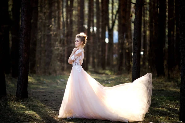 Hermosa Novia Vestido Blanco Novia Está Caminando Bosque — Foto de Stock