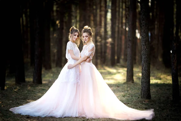 Duas Belas Noivas Juntas Posando Floresta — Fotografia de Stock