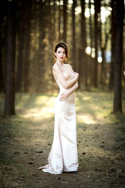 Sunset Beyaz Elbiseli Güzel Gelin — Stok fotoğraf
