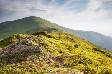 Güzel Polonina Borzava 