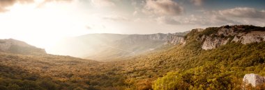 Tyshlar kayalar görüntülemek