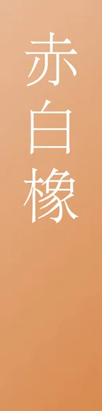 Kashirotsurubami Japan Kanji Color Name Colorful Background — 图库矢量图片