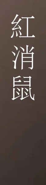Benikeshinezumi Kanji Japonais Nom Couleur Sur Fond Coloré — Image vectorielle