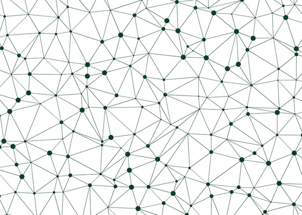 Abstraktní Polygonální Nízkopoly Vzor Připojenými Liniemi Tečkami Bílém Pozadí — Stockový vektor
