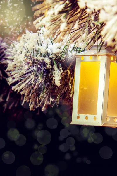 Árbol de Navidad Luz sobre fondo oscuro —  Fotos de Stock