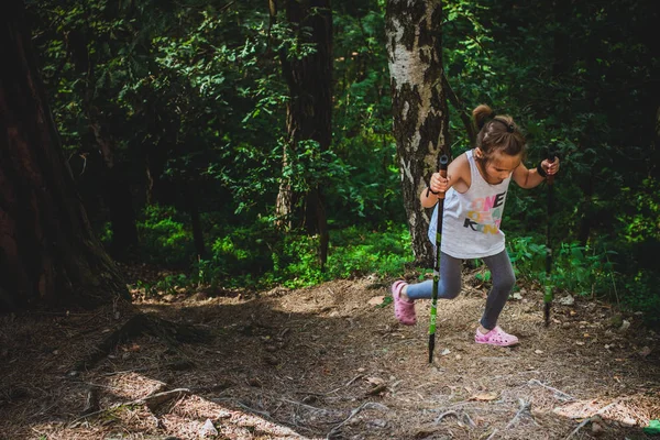 "Città di pietra "- riserva naturale in Polonia — Foto Stock