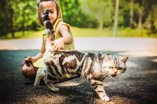Little girl with a cat outdoors — Stock Photo, Image