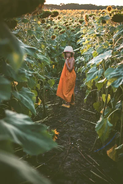 Dunkles Porträt des süßen Mädchens im Sonnenblumenfeld — Stockfoto