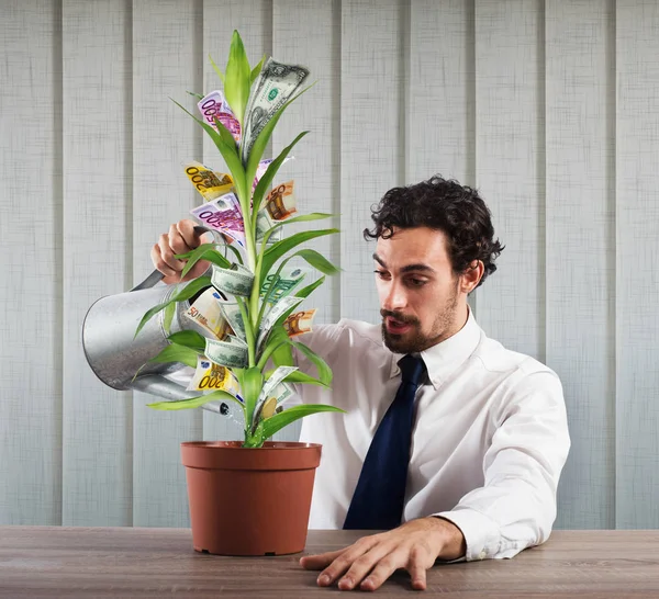 Zakenman drenken geldboom — Stockfoto