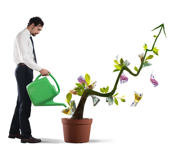 Businessman watering money tree — Stock Photo, Image