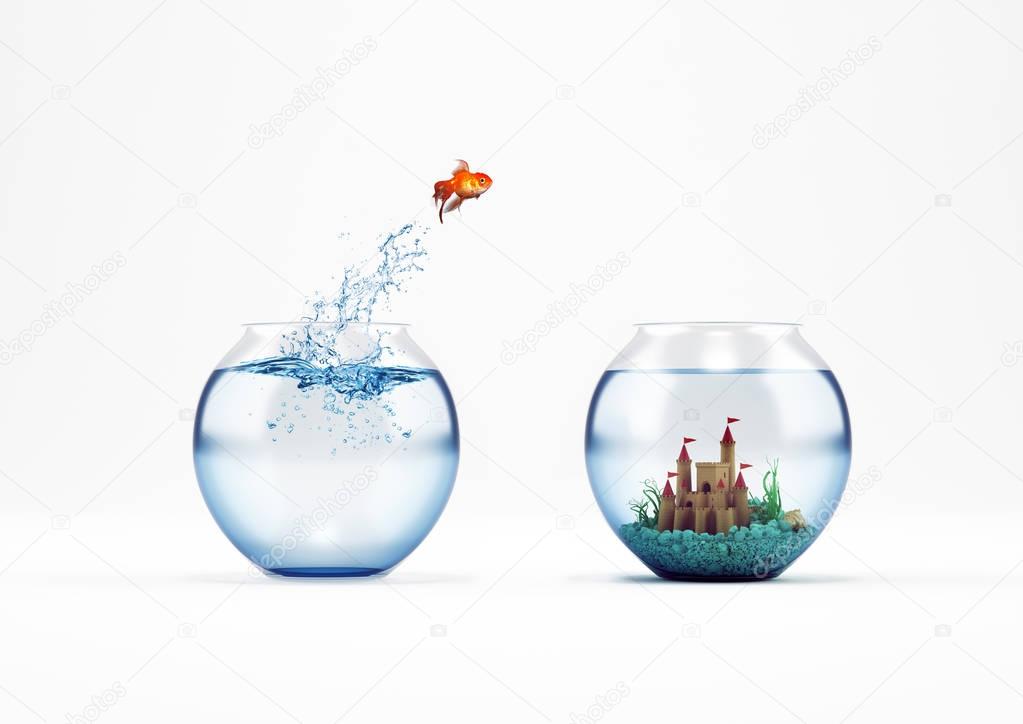 Goldfish leaping in an aquarium