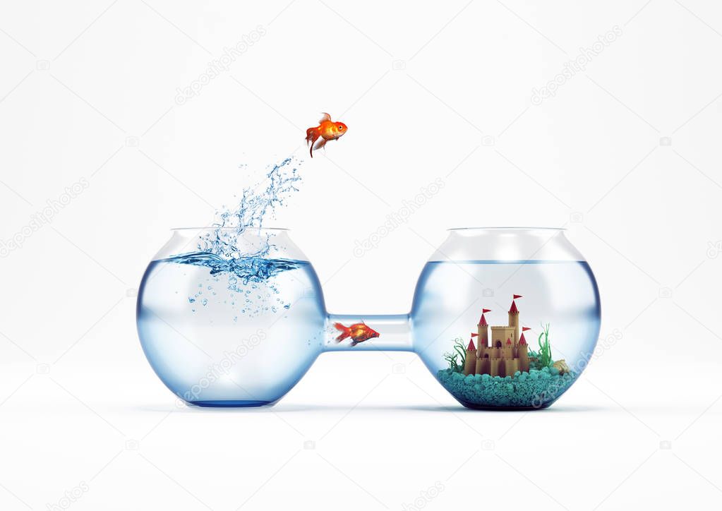Goldfish leaping in an aquarium 
