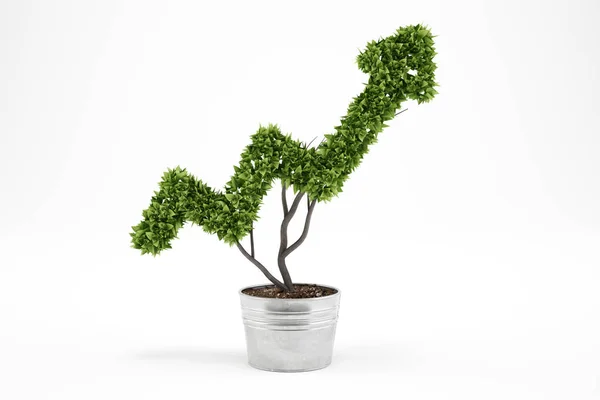 Planta que crece como una flecha . — Foto de Stock