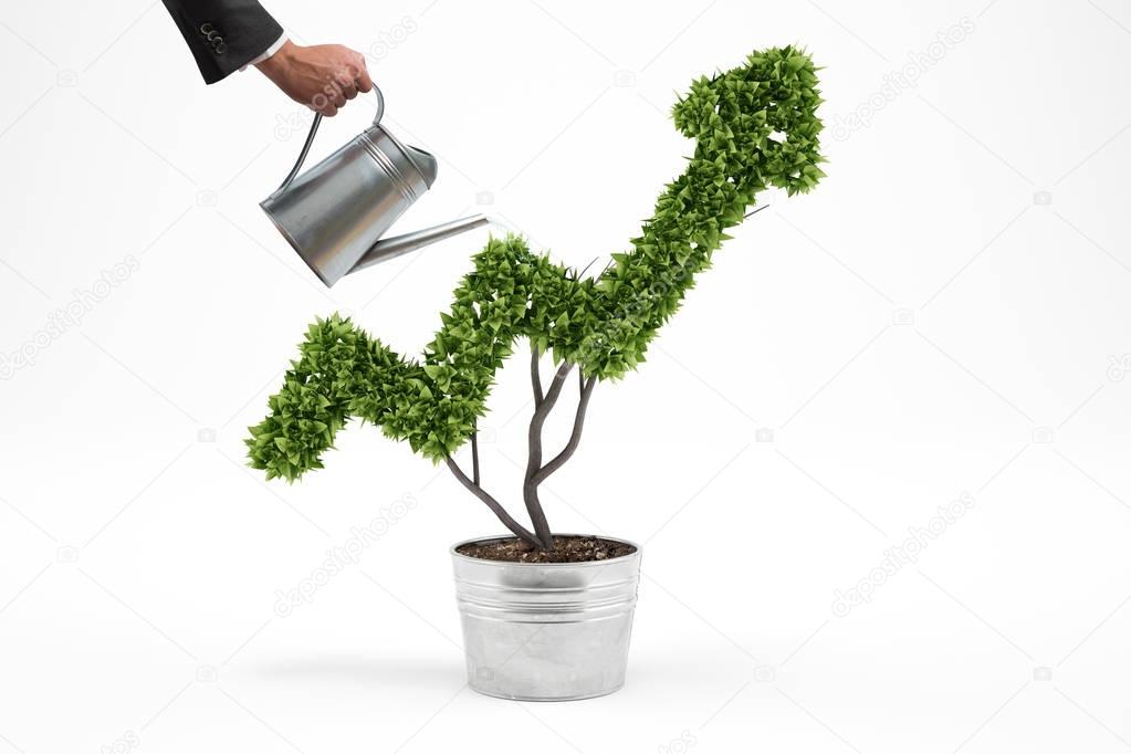 Businessman watering a plant 