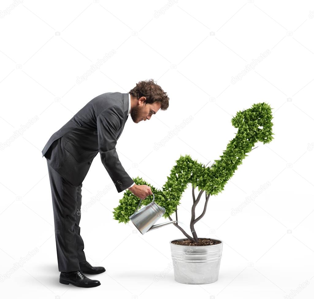 Businessman watering a plant