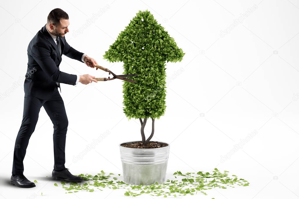 Businessman trims a plant 