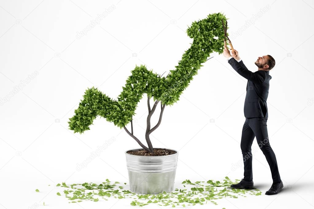 Businessman trims a plant